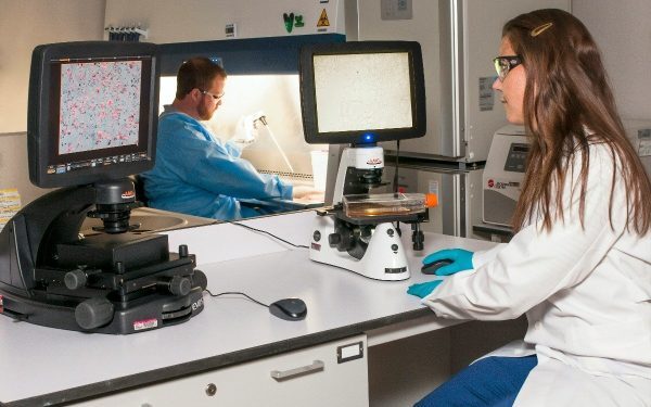 România aliniată standardelor europene în radiologia medicală: noua metodologie pentru examenul de specialitate aprobată de Ministerul Sănătății Ministrul Sănătății, Alexandru Rogobete, a anunțat recent aprobarea unui pas important pentru sistemul medical românesc, menit să ridice nivelul pregătirii radiologilor din țară și să asigure o mai mare comparabilitate cu standardele europene