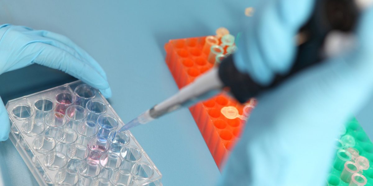 USR propune lege pentru fertilizare in vitro în România