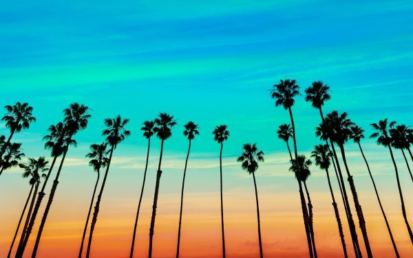Conflictul dintre rezidenți și proprietari în complexul nudist din California escaladează: întreruperea energiei electrice devine cauza unor momente tensionate Un incident izbucnit recent într-un celebru complex nudist din California a atras atenția publicului și a autorităților locale, după ce locuitorii au rămas fără curent electric într-un mod considerat de mulți drept brutal