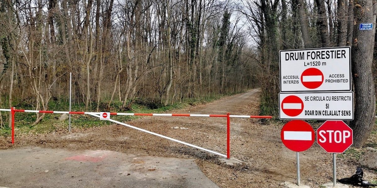 Romsilva justifică drumul din Greenfield cu decrete comuniste, numindu-l „alee modernizată” și „drum forestier”