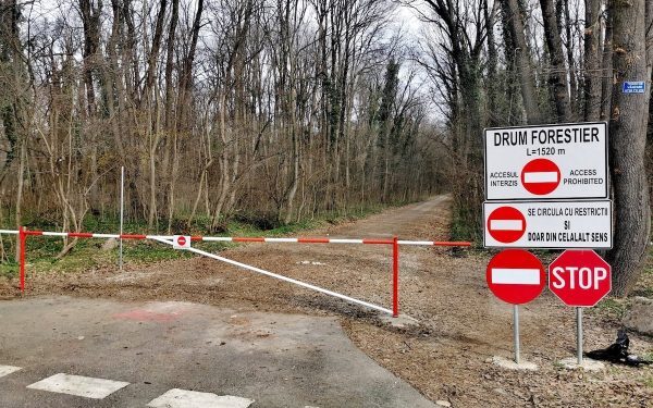Romsilva justifică drumul din Greenfield cu decrete comuniste, numindu-l „alee modernizată” și „drum forestier”