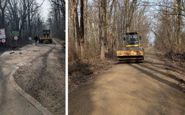 Drumul din Pădurea Băneasa, între legalitate și controverse, capătă noi valențe după decizii contradictorii În timp ce autoritățile se confruntă cu controverse legate de lungul șir de reguli și decizii care implică drumul din pădurea Băneasa, situația începe să se complice