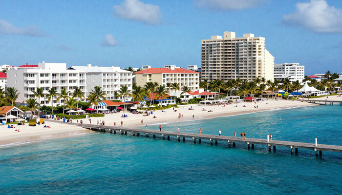 freepik__newsstyle-photo-of-palm.jpg - FluxNational