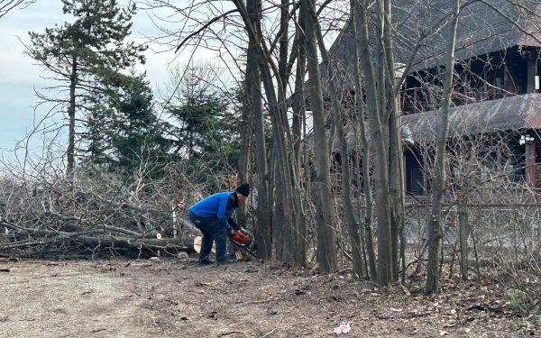 Procesul intentat de Grupul Civic IOR-Titan pentru anularea retrocedării celor 12 hectare din Parcul IOR continuă să fie unul tensionat, cu verdicturi și proceduri care pot schimba radical cursul judecății