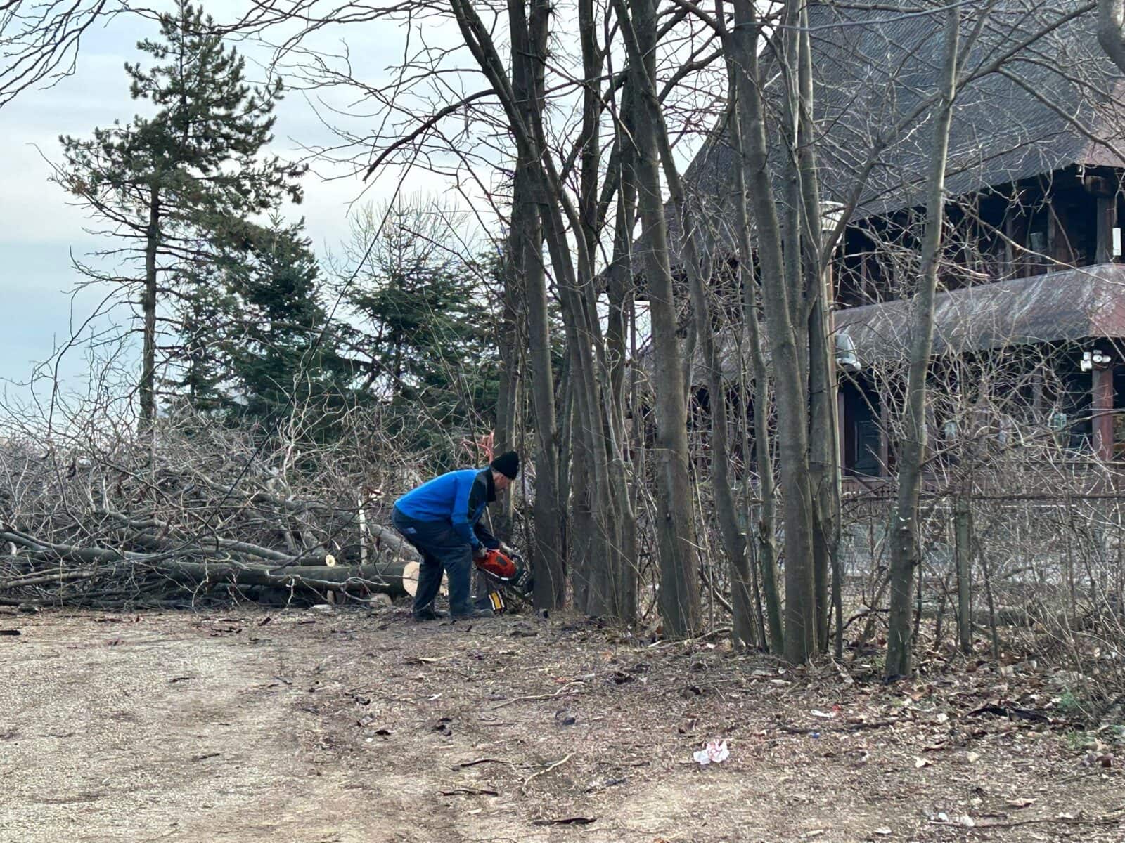 Procesul intentat de Grupul Civic IOR-Titan pentru anularea retrocedării celor 12 hectare din Parcul IOR continuă să fie unul tensionat, cu verdicturi și proceduri care pot schimba radical cursul judecății