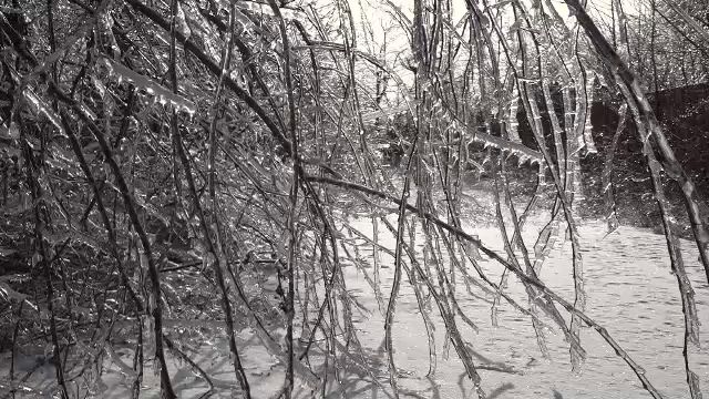 vlcsnap-2026-01-31-19h09m01s729.png - FluxNational