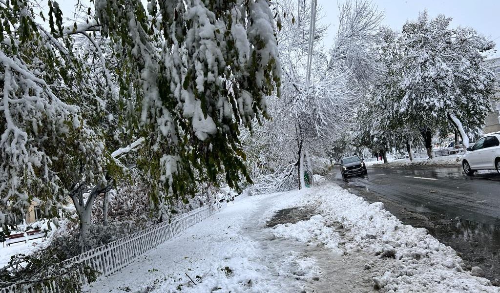 Traficul rutier din mai multe zone ale țării se desfășoară, luni dimineața, în condiții meteo dificile, din cauza ninsorii și a vizibilității reduse cauzate de ceață