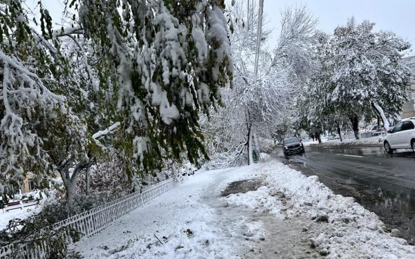 Traficul rutier din mai multe zone ale țării se desfășoară, luni dimineața, în condiții meteo dificile, din cauza ninsorii și a vizibilității reduse cauzate de ceață