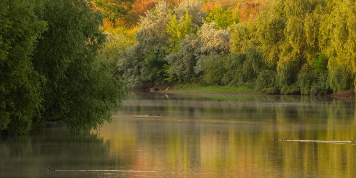 Bucureștiul va fi martorul unui eveniment inedit duminică, 22 martie, când zona dintre râul Dâmbovița și Lacul Morii se va transforma într-un sanctuar al explorării vizuale și al iubitorilor de natură și fotografie