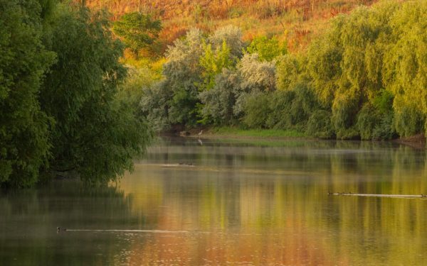 Bucureștiul va fi martorul unui eveniment inedit duminică, 22 martie, când zona dintre râul Dâmbovița și Lacul Morii se va transforma într-un sanctuar al explorării vizuale și al iubitorilor de natură și fotografie