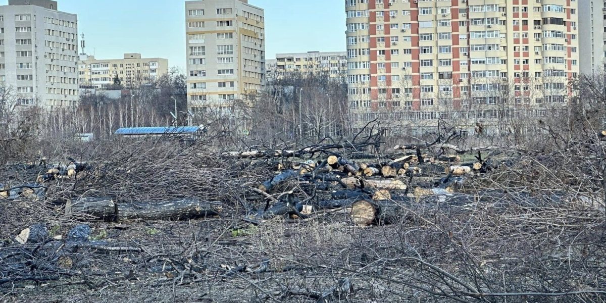Primarul Capitalei, Ciprian Ciucu, a avut, vineri, un schimb de replici cu reprezentanții partidului AUR, în contextul tensiunilor generate de convocarea ședinței Consiliului General al Municipiului București (CGMB)