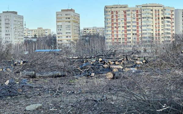 Primarul Capitalei, Ciprian Ciucu, a avut, vineri, un schimb de replici cu reprezentanții partidului AUR, în contextul tensiunilor generate de convocarea ședinței Consiliului General al Municipiului București (CGMB)