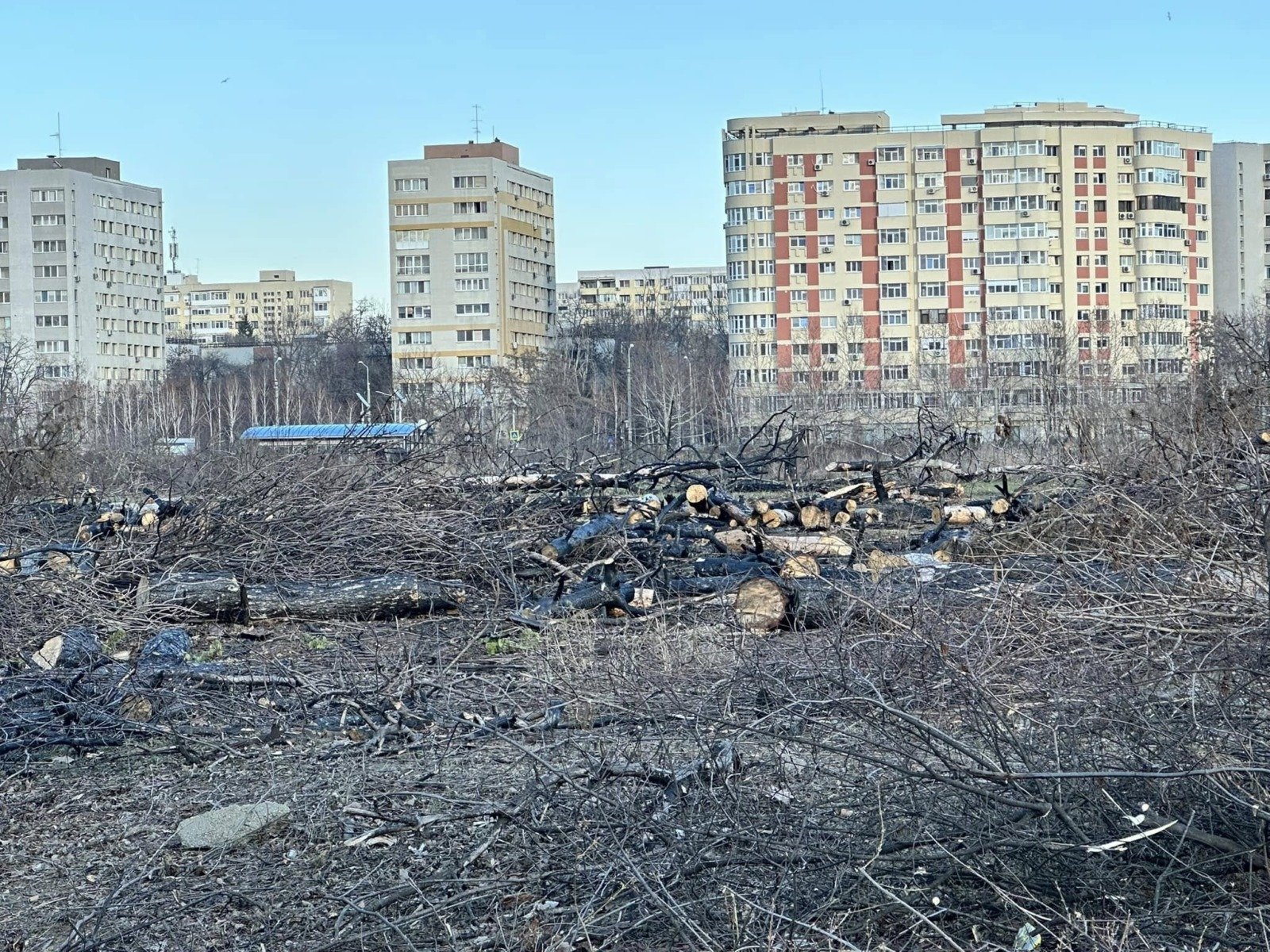 Primarul Capitalei, Ciprian Ciucu, a avut, vineri, un schimb de replici cu reprezentanții partidului AUR, în contextul tensiunilor generate de convocarea ședinței Consiliului General al Municipiului București (CGMB)