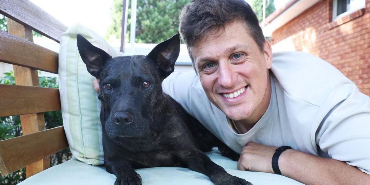 Un antreprenor din Sydney a folosit inteligența artificială pentru a salva un câine diagnosticat cu cancer agresiv, într-un caz care poate marca începutul unei revoluții în medicina veterinară personalizată