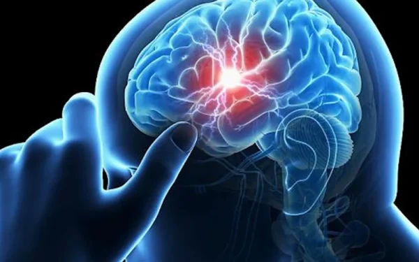 Accidentul vascular cerebral poate lovi oricând, chiar și la vârsta celor mai tineri: Semnale de alarmă și perspective de tratament Un eveniment cerebral de o severitate extremă, accidentul vascular cerebral (AVC) poate apărea la orice vârstă, inclusiv în rândul adulților tineri, și reprezintă una dintre principalele cauze de dizabilitate și mortalitate la nivel mondial