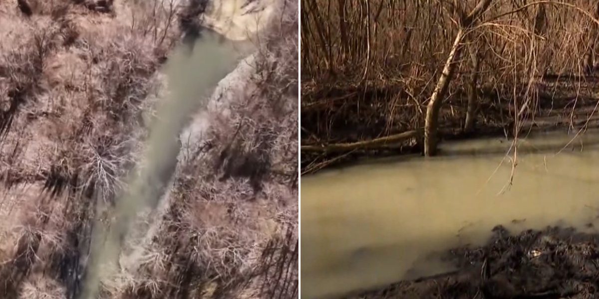 Calitatea apei potabile din București se află într-o situație alarmantă, iar ultimele verificări relevă că apa care ajunge în Capitală provine în mare parte din râul Argeș, fiind extrem de poluată și insuficient tratată