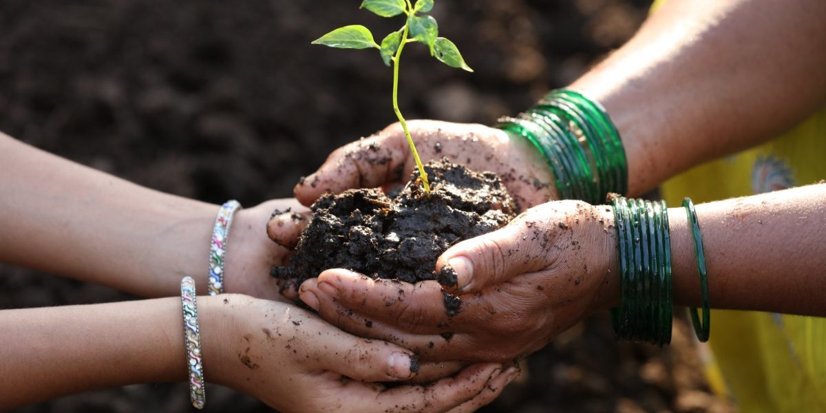 Uniunea Europeană lansează o platformă pentru promovarea femeilor în agricultură, dar realitatea rămâne încă departe de egalitate Sectorul agricol din Uniunea Europeană, unul dintre cei mai tradiționali și fundamentali pentru economia comunitară, începe să-și arate o micro-revoluție