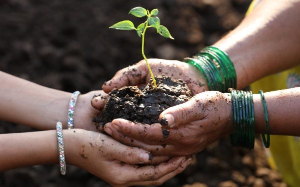 Uniunea Europeană lansează o platformă pentru promovarea femeilor în agricultură, dar realitatea rămâne încă departe de egalitate Sectorul agricol din Uniunea Europeană, unul dintre cei mai tradiționali și fundamentali pentru economia comunitară, începe să-și arate o micro-revoluție
