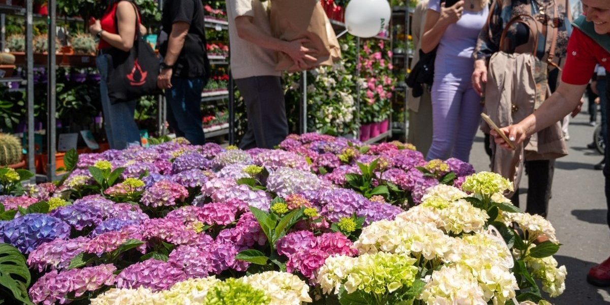 Cum se pot înscrie comercianții la West Side Flower Fest 2026