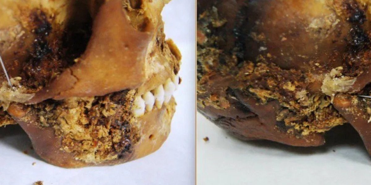 O descoperire inedită a scos la lumină detalii rare despre viața unei femei scite din Antichitate, după ce cercetătorii au analizat rămășițele mumificate ale acesteia