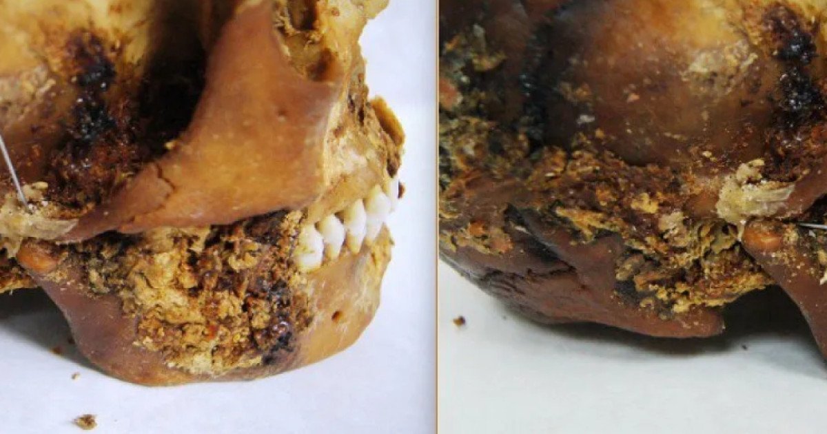 O descoperire inedită a scos la lumină detalii rare despre viața unei femei scite din Antichitate, după ce cercetătorii au analizat rămășițele mumificate ale acesteia