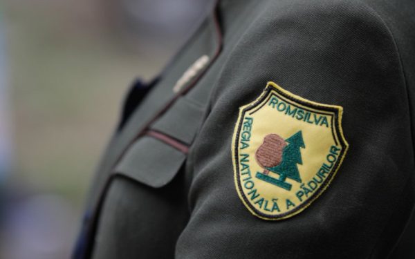 Guvernul român a aprobat, joi, reorganizarea complexului silvic Romsilva, una dintre cele mai mari instituții din domeniul protejării și gestionării pădurilor, într-un demers menit să eficientizeze activitatea și să asigure o administrare mai transparentă și performanță măsurabilă