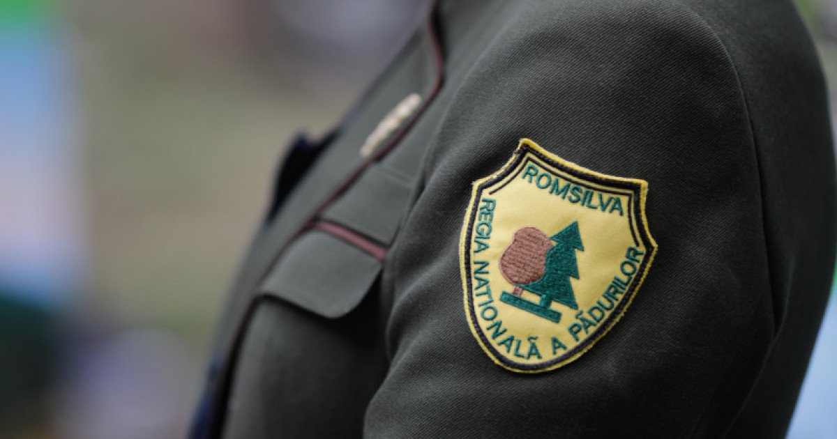 Guvernul român a aprobat, joi, reorganizarea complexului silvic Romsilva, una dintre cele mai mari instituții din domeniul protejării și gestionării pădurilor, într-un demers menit să eficientizeze activitatea și să asigure o administrare mai transparentă și performanță măsurabilă