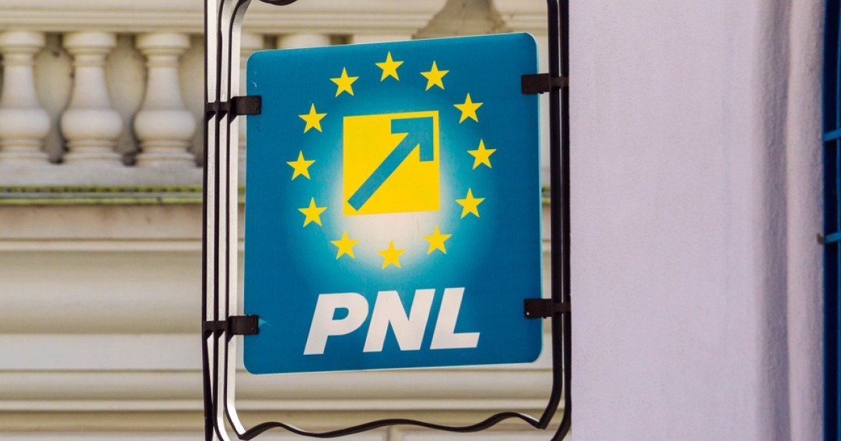 PNL răspunde PSD: „Pentru stabilitate și reforme, să vină cu soluții”