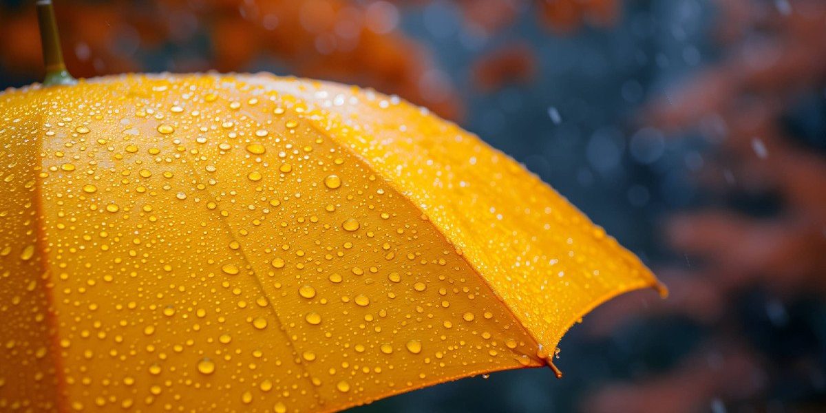 Vremea din următoarele patru săptămâni aduce variații semnificative în funcție de regiune, conform prognozelor meteorologice recente