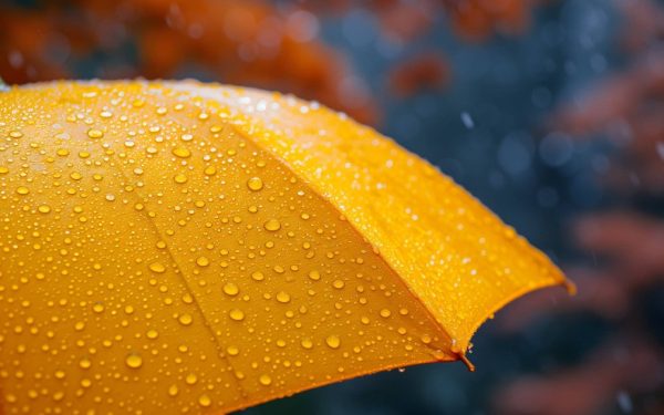 Vremea din următoarele patru săptămâni aduce variații semnificative în funcție de regiune, conform prognozelor meteorologice recente