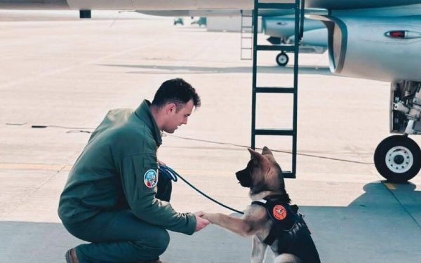 Tragedie la Baza 86 Aeriană din Borcea: un militar și un câine, victime ale unui accident inexplicabil O veste șocantă a zguduit miercuri dimineața comunitatea militară și localitatea Borcea, după ce un incident tragic s-a soldat cu decesul unui pilot și rănirea unora dintre membrii personalului aflați în misiune