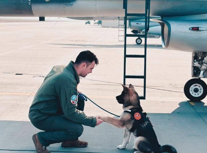 Tragedie la Baza 86 Aeriană din Borcea: un militar și un câine, victime ale unui accident inexplicabil O veste șocantă a zguduit miercuri dimineața comunitatea militară și localitatea Borcea, după ce un incident tragic s-a soldat cu decesul unui pilot și rănirea unora dintre membrii personalului aflați în misiune