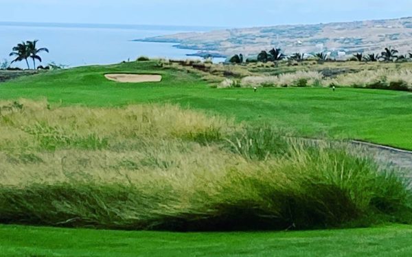 Vreme instabilă pe insula Hawaii: rafale de vânt, ploi și avertizări meteorologice Insula Hawaii înghite, din nou, o masă de aer rece și umedă, care provoacă perturbări semnificative în condițiile meteo