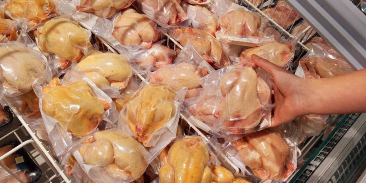 Producători și profesor universitar: Puii galbeni din comerț sunt sau nu vopsiți?