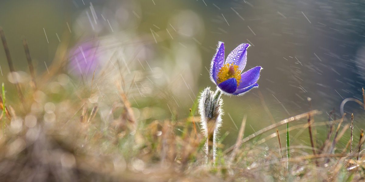 Vânt puternic și temperaturi scăzute, vreme instabilă până diseară, după care speranța unei ușoare încălziri Meteorologii au emis o avertizare de cod galben pentru zonele din estul țării, valabilă până duminică, la ora 18:00