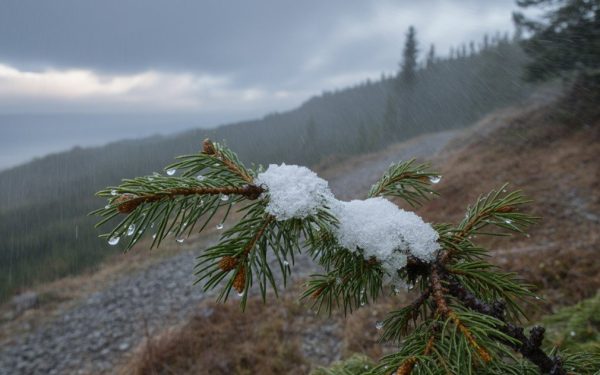 Vremea din nord-vestul țării a suferit o schimbare bruscă, cu temperaturi în coborâre semnificativă și precipitații consistente ce se intensifică în orele recente
