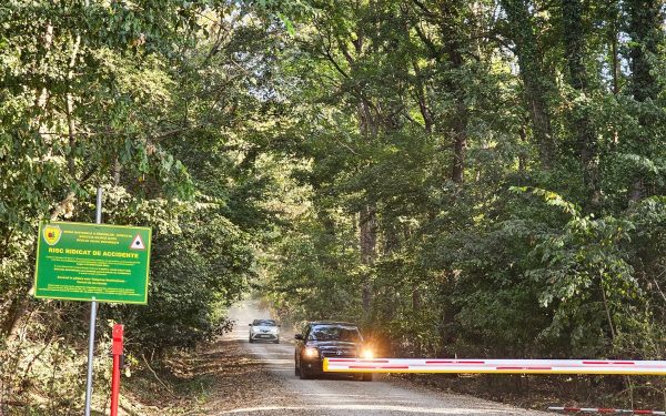 Ministrul Mediului: Ne angajăm să protejăm Pădurea Băneasa