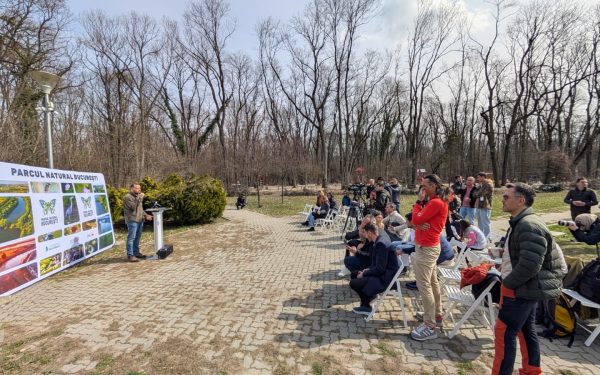 Pădurea Băneasa, o oază verde situată în nordul Capitalei, pășește oficial pe drumul spre protecția legală integrală, fiind introdusă în procedura de declarare ca arie naturală de interes național