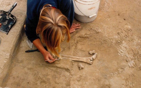 Unelte din fildeș vechi de aproximativ 14.000 de ani, descoperite în Alaska, ar putea revoluționa înțelesurile pe care le avem despre primele migrații ale oamenilor în Americi