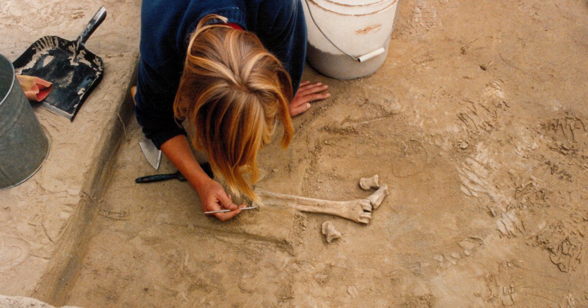 Unelte din fildeș vechi de aproximativ 14.000 de ani, descoperite în Alaska, ar putea revoluționa înțelesurile pe care le avem despre primele migrații ale oamenilor în Americi