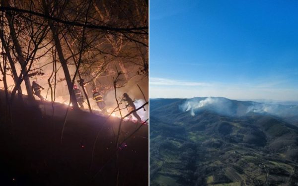 Incendii de vegetație devastatoare în Maramureș și Satu Mare: misiuni extrem de dificile pentru pompieri Focul mistuitor a cuprins, în ultimele zile, suprafețe importante de teren în vestul țării, mai exact în județele Maramureș și Satu Mare