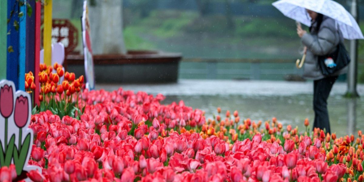 Vreme instabilă și variații termice semnificative în perioada sărbătorilor pascale, cu temperaturi care vor fluctua considerabil de la o zi la alta Meteorologii avertizează asupra unei perioade cu schimbări bruște ale vremii, în special în timpul sărbătorilor de Paște