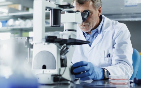 O descoperire recentă aduce în prim-plan un aspect semnificativ al sănătății și longevității bărbaților: pe măsură ce înaintează în vârstă, aceștia tind să-și piardă cromozomul Y din celulele lor