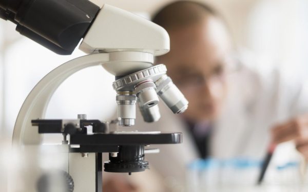 Până acum, virusul Epstein-Barr a fost considerat, pentru majoritatea oamenilor, o prezență aproape inofensivă, însă, cercetările recente din Statele Unite au deschis o nouă perspectivă asupra luptei împotriva lui