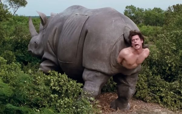Un fragment din universul cinematografic din anii ’90 reiese dintr-o vânzare mai puțin obișnuită: un rinocer mecanic folosit în filmul „Ace Ventura: When Nature Calls” ajunge pe piața de colecții