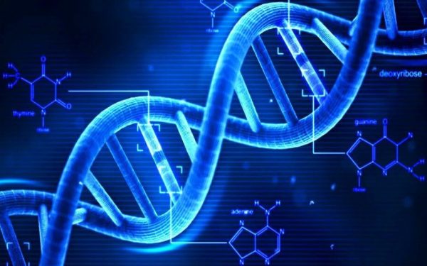 Odescoperire revoluționară în domeniul anti-aging promite să schimbe modul în care înțelegem procesul de îmbătrânire