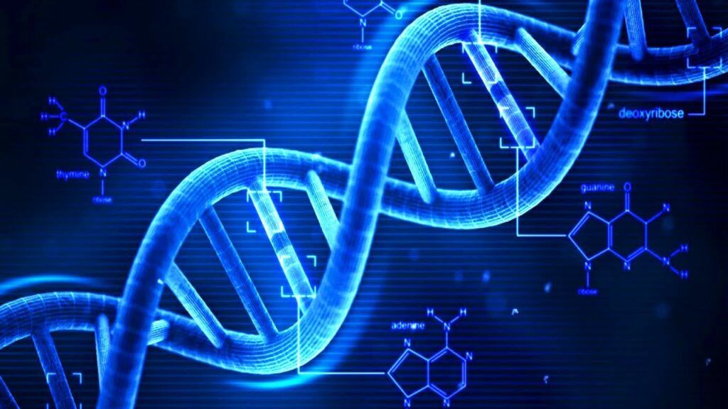 Odescoperire revoluționară în domeniul anti-aging promite să schimbe modul în care înțelegem procesul de îmbătrânire