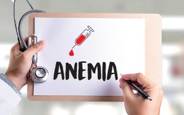 Leguma care previne anemia și regeneratează globulele roșii