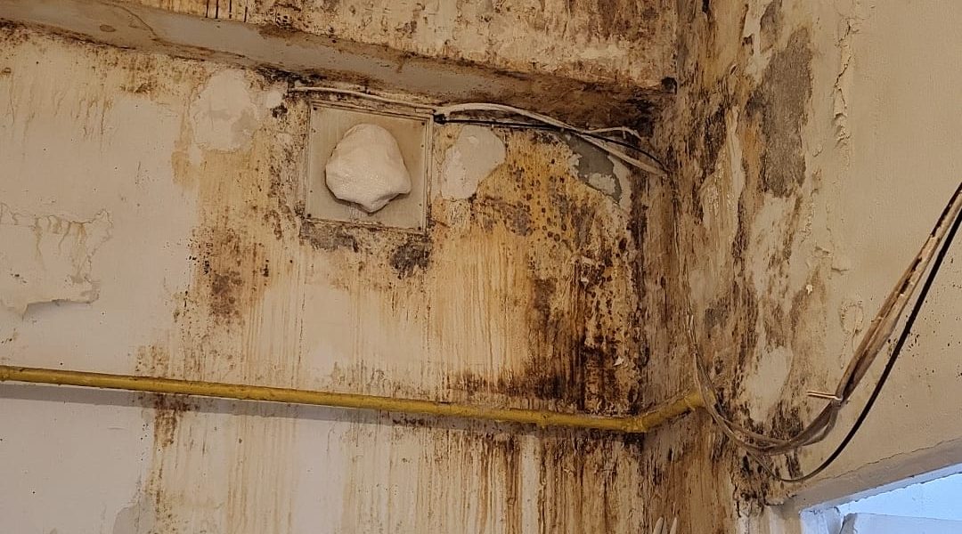 ANPC a verificat peste 1.700 de operatori în perioada 2-6 martie, descoperind deficiențe grave în domeniul alimentar Autoritatea Națională pentru Protecția Consumatorilor (ANPC) a derulat, recent, o amplă acțiune de control în domeniul alimentar, verificând peste 1.700 de operatori economici în această perioadă