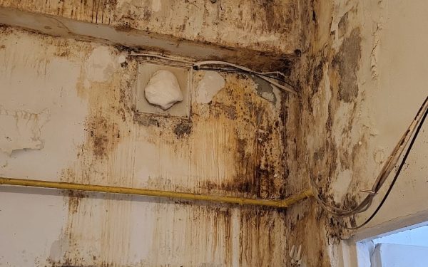 ANPC a verificat peste 1.700 de operatori în perioada 2-6 martie, descoperind deficiențe grave în domeniul alimentar Autoritatea Națională pentru Protecția Consumatorilor (ANPC) a derulat, recent, o amplă acțiune de control în domeniul alimentar, verificând peste 1.700 de operatori economici în această perioadă